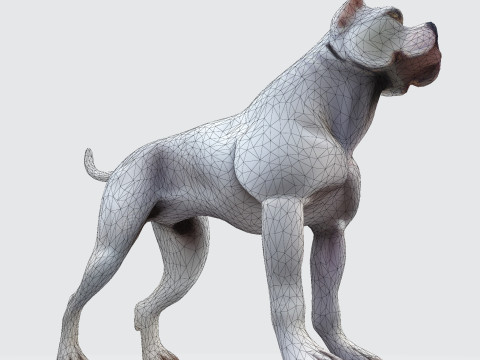 Dog Argentin Rig-Ready Low-Poly with Texture for Animation Games 3D Printing 3D मॉडल