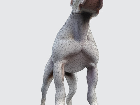 Dog Argentin Rig-Ready Low-Poly with Texture for Animation Games 3D Printing 3D मॉडल