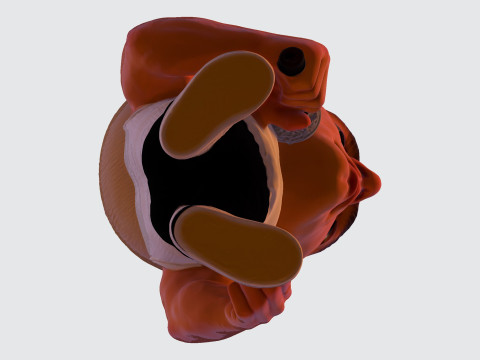 Eminem Stylized High-Poly 3D Print Model 3D Model