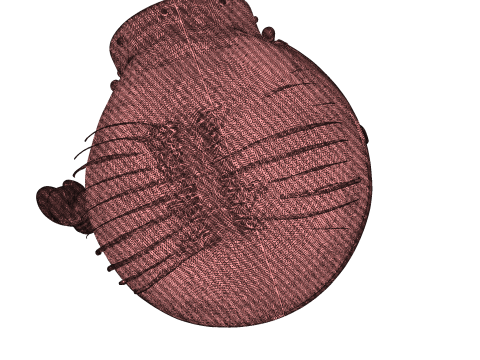Minion detailliert für den 3D-Druck 3D Druckmodell