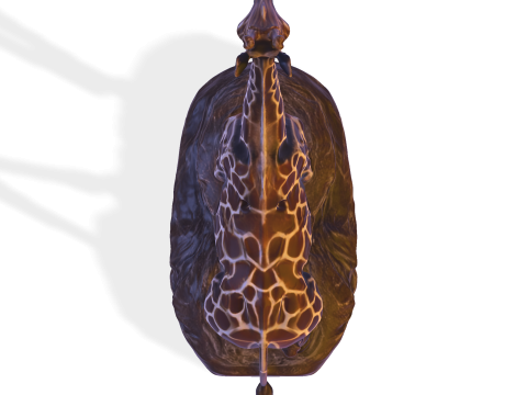 Majestic Giraffe Sculpture - High-Detail Print-Ready Statue 3D Print Model