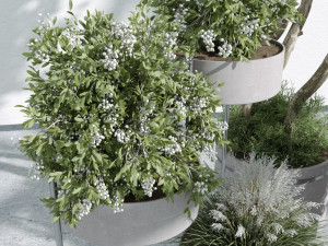 IndoorPlants 3Dモデル