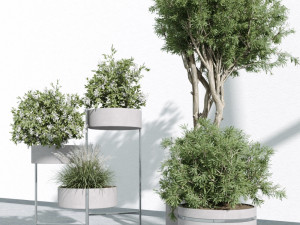 IndoorPlants 3Dモデル