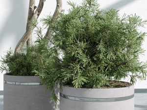 IndoorPlants 3Dモデル