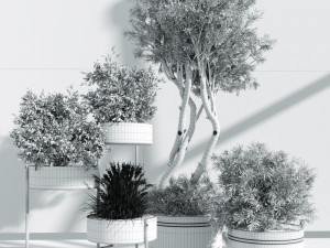 IndoorPlants 3Dモデル