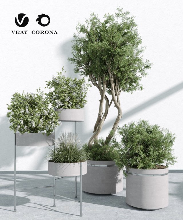 IndoorPlants 3Dモデル .c4d .max .obj .3ds .fbx .stl .blend 