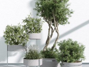 IndoorPlants 3D Model