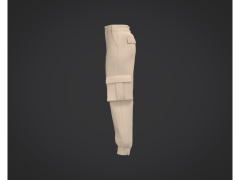 3D Cargo Pants Model 3D Model
