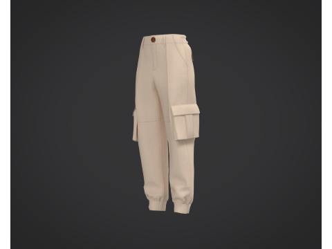 3D Cargo Pants Model 3D Model