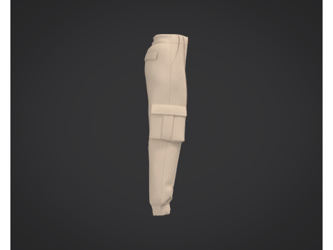 3D Cargo Pants Model 3D Model