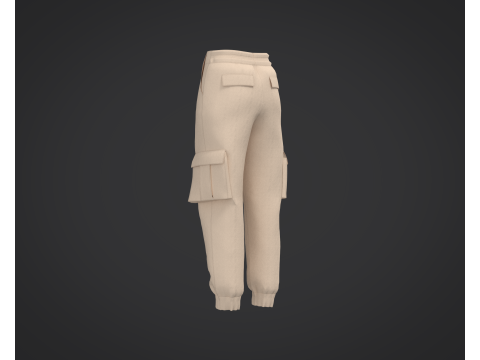 3D Cargo Pants Model 3D Model