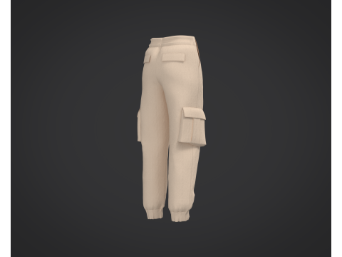 3D Cargo Pants Model 3D Model