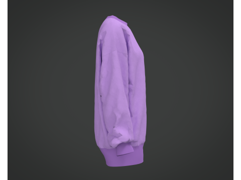 Of a Purple Sweatshirt 3D 模型