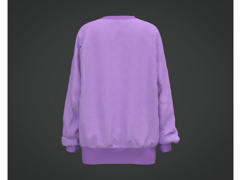 Of a Purple Sweatshirt 3D 模型