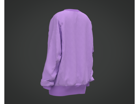 Of a Purple Sweatshirt 3D 模型