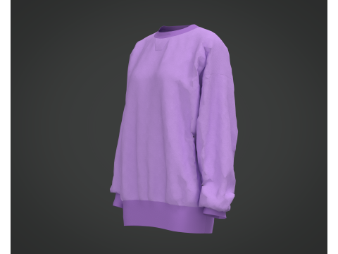 Of a Purple Sweatshirt 3D 模型