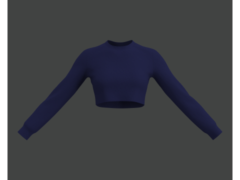 Blue Crop Top 3D Модель
