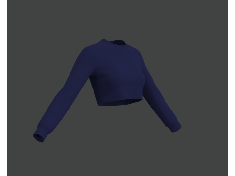 Blue Crop Top Modèle 3D