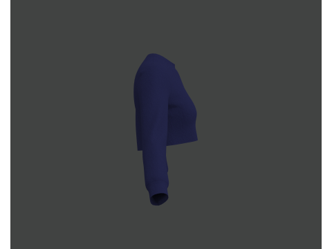 Blue Crop Top Modèle 3D