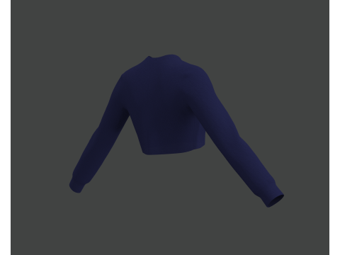 Blue Crop Top Modèle 3D