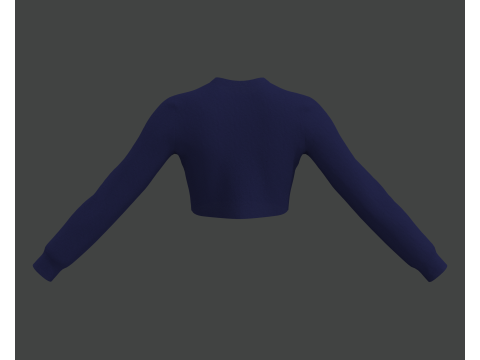 Blue Crop Top Modèle 3D