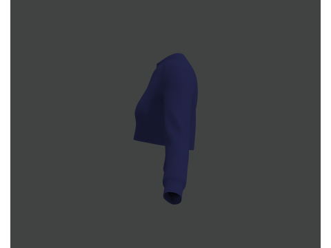 Blue Crop Top Modèle 3D