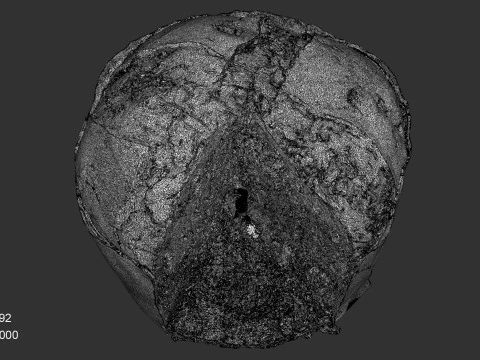 Panettone Cristmas 3D Model