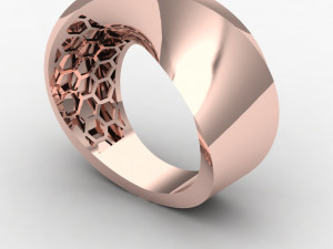 Twisted ring 3D Baskı Modeli