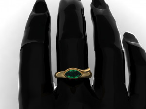 Eye ring Modello di stampa 3D