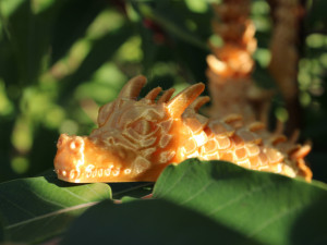 Articulated dragon Model 3D