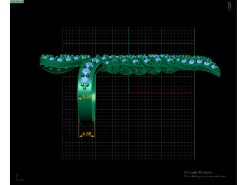 Peacock Father Ring 3d Printable Model 3D Print Model