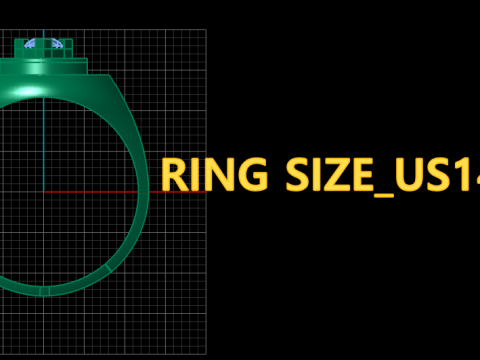 SINGLE DIMOND RING FOR MEN 3D PRINTABLE MODEL 3D Print Model