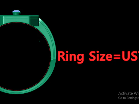 TURKISH MENS RING 3D PRINTABLE MODEL 3D Print Model