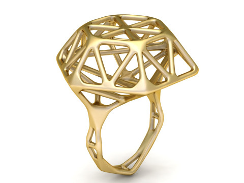 BONE WIREFRAME RING 3D PRINTABLE MODEL 3D 打印模型
