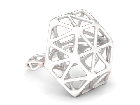 BONE WIREFRAME RING 3D PRINTABLE MODEL 3D Druckmodell