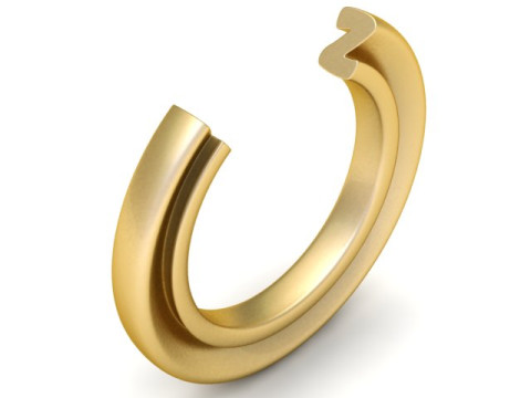 ALPHABET Z RING 3D PRINTABLE MODEL 3D प्रिंट मॉडल