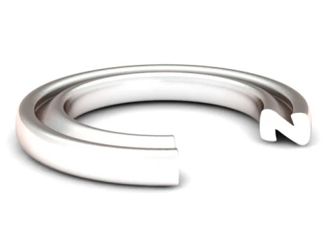 ALPHABET Z RING 3D PRINTABLE MODEL 3D Print Model