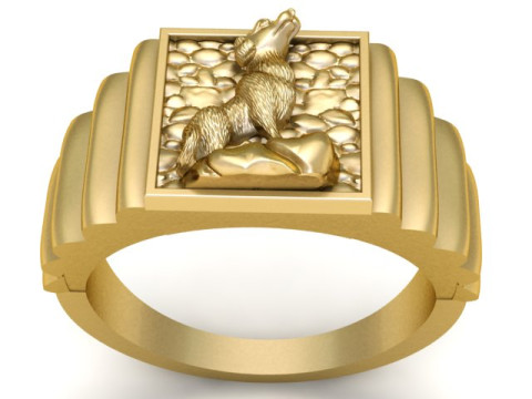 MENS FASHION RING FOR 3D PRINTABLE MODEL 3D Принт Модель