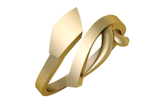 PRECIOUS GOLD RING 3D PRINTABLE MODEL 3D 模型