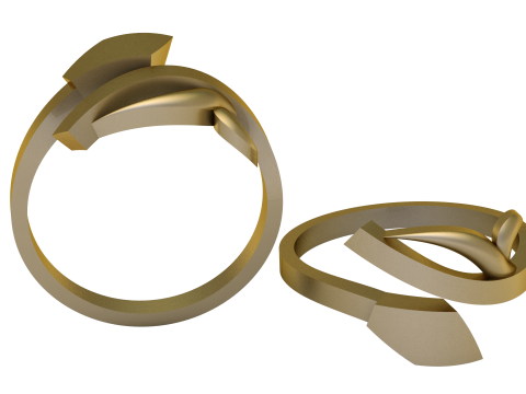 PRECIOUS GOLD RING 3D PRINTABLE MODEL Modèle 3D