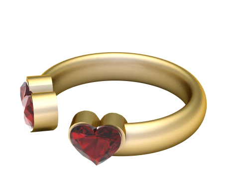 DOUBLE HEART SHAPE RING 3D PRINTABLE MODEL 3D 打印模型