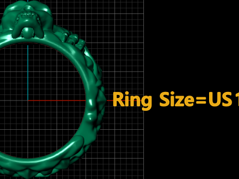 HUMAN SKULL HEAD RING 3D PRINTABLE MODEL 3D 打印模型
