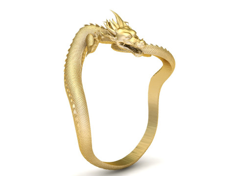 CHINESE DRAGON RING 3D PRINTABLE MODEL Model do druku 3D