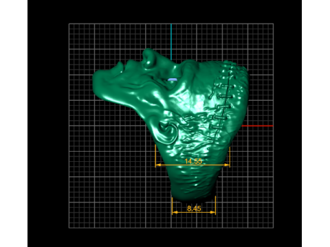 Sklet ring 3D printable PENDANT Modelo de Impressão 3D