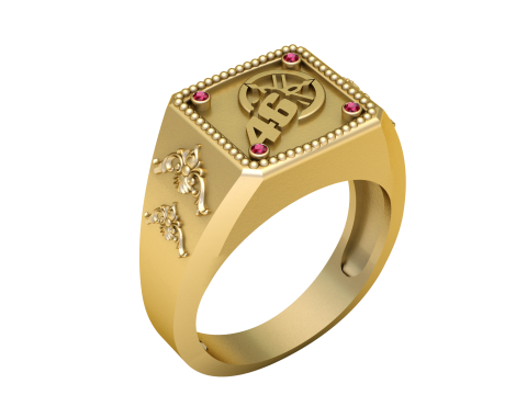 Custom number ring Modelo de impresión 3D