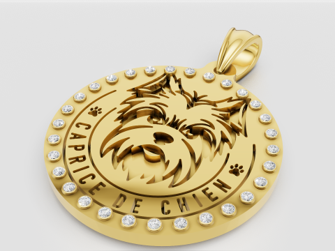Custom Dog Jewelry 3D Print Model