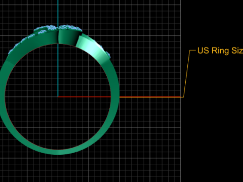 Designer Ring 3Dプリントモデル