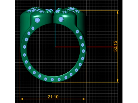 CrownRingDesign 3D Print Model