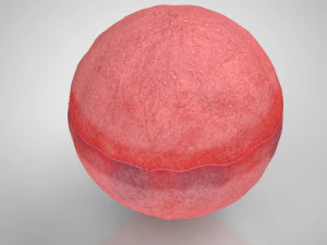 Plasmacel 3D Model