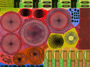 Plasma Cell Model 3D
